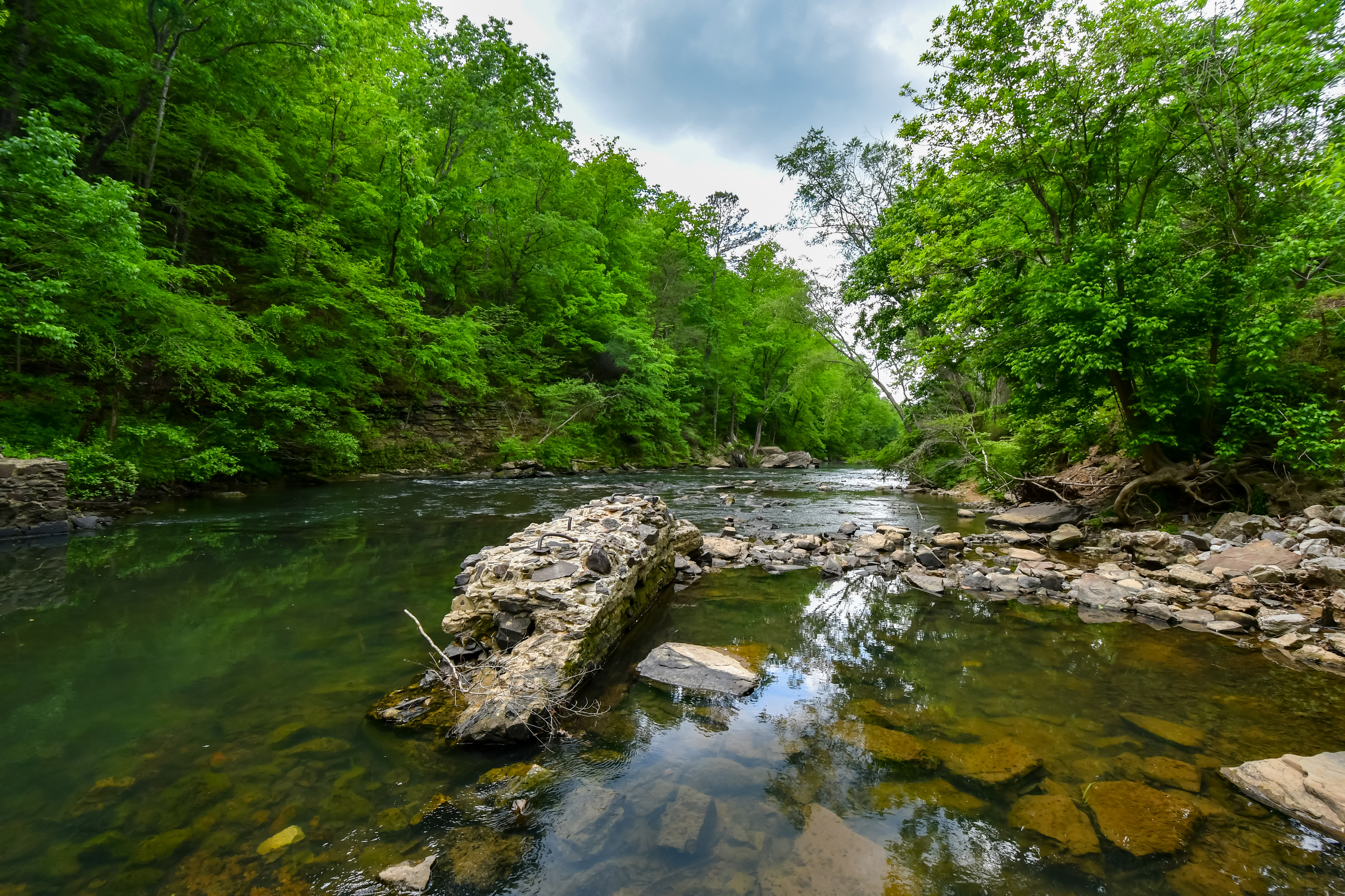 A Walk by the Cahaba River in Birmingham, Alabama